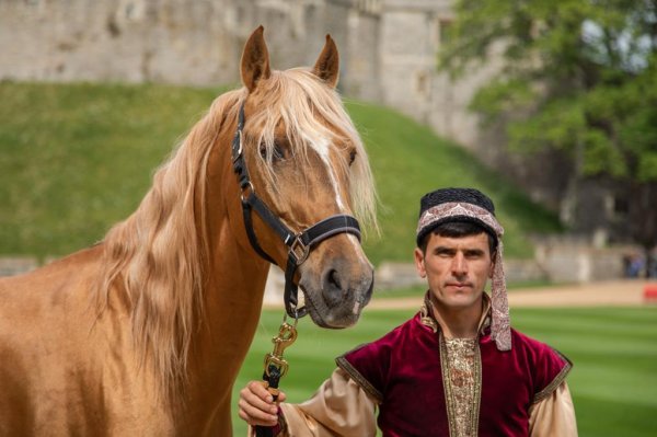 Elçin Quliyev Qarabağ atını II Yelizavetaya təqdim ETDİ