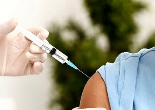 Peyvənd olunanların sayı açıqlandı Peyvənd olunanların sayı açıqlandı
