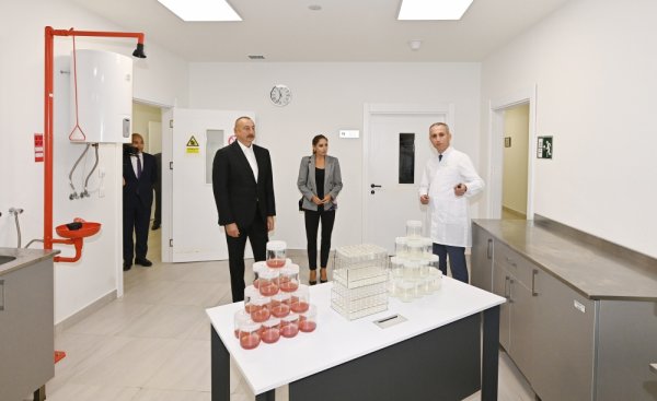 Prezident birinci xanımla zavod açılışında - FOTOLAR