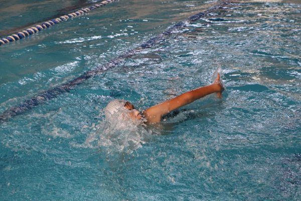 Sumqayıtda tematik yay düşərgələri davam edir - FOTOLAR