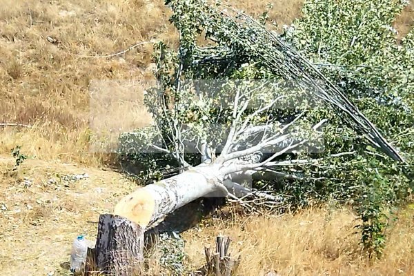 Laçından çıxan ermənilər meyitləri də özləri ilə aparır - FOTOLAR