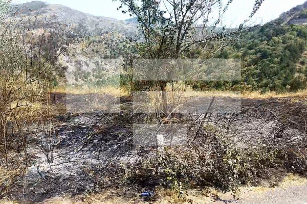 Laçından çıxan ermənilər meyitləri də özləri ilə aparır - FOTOLAR