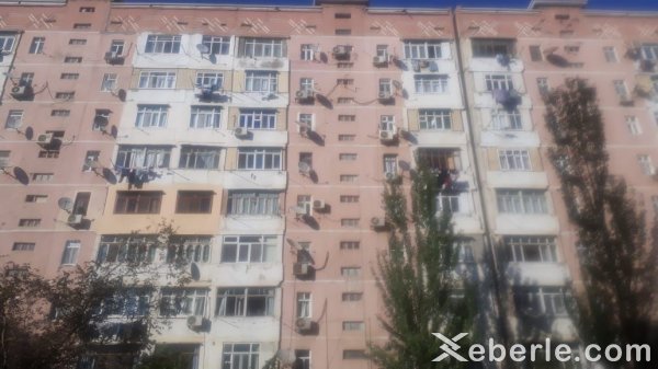 Sumqayıtda çirkab suların axdığı zirzəmi problemi həllini tapdımı? - PROBLEM (FOTO)