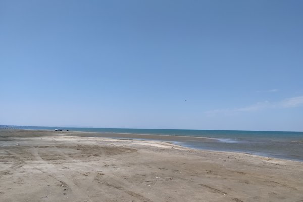 Xəzərin Sumqayıt sahillərində xəstəlik törədən bakteriyalar normadan artıqdır - Coğrafiya İnstitutu (FOTO)