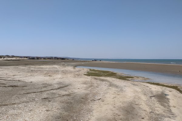 Xəzərin Sumqayıt sahillərində xəstəlik törədən bakteriyalar normadan artıqdır - Coğrafiya İnstitutu (FOTO)