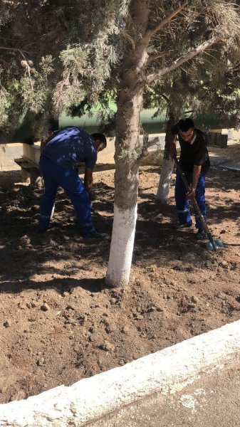 Sumqayıt Sukanal İdarəsi təmizlik aksiyası keçirdi - FOTO
