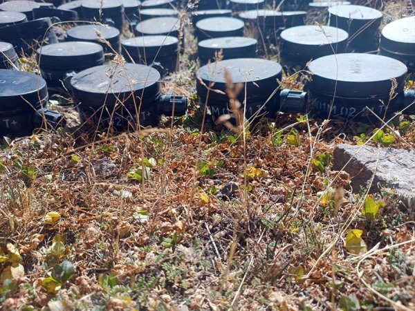 Təxribat məqsədilə Laçında basdırılmış minalar AŞKARLANDI