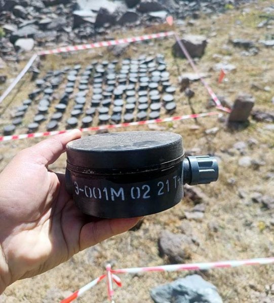 Təxribat məqsədilə Laçında basdırılmış minalar AŞKARLANDI