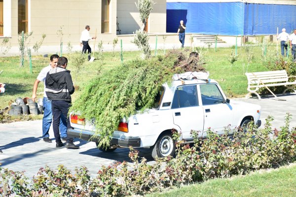 Sumqayıt Regional Mədəniyyət İdarəsi ağacəkmə aksiyasında - FOTO Sumqayıt Regional Mədəniyyət İdarəsi ağacəkmə aksiyasında - FOTO
