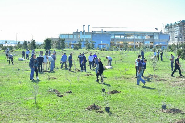 Sumqayıt Regional Mədəniyyət İdarəsi ağacəkmə aksiyasında - FOTO Sumqayıt Regional Mədəniyyət İdarəsi ağacəkmə aksiyasında - FOTO