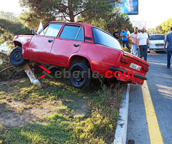 Sumqayıtda avtomobil ağaca çırpıldı -FOTO