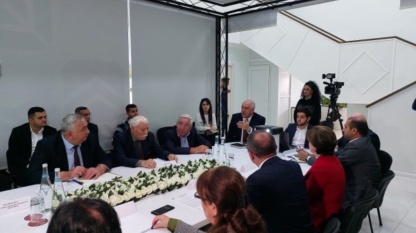 Azərbaycanda şam ağacları niyə quruyur? - Mütəxəssislər müzakirə etdi (FOTOLAR)