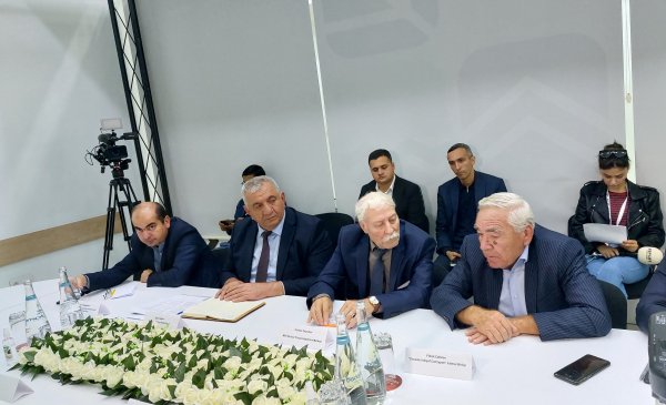 Azərbaycanda şam ağacları niyə quruyur? - Mütəxəssislər müzakirə etdi (FOTOLAR)