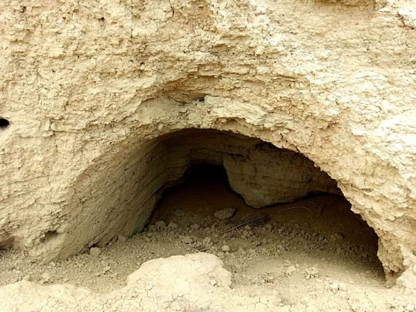Sumqayıtda mağaralar aşkarlandı - FOTOLAR