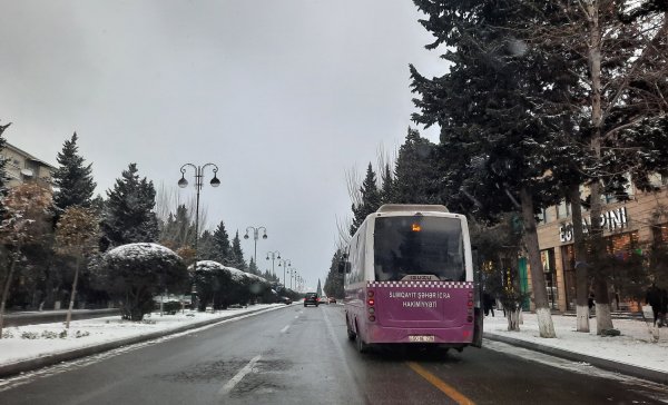 Sumqayıtda yolların vəziyyəti açıqlandı - AÇIQLAMA (FOTO)
