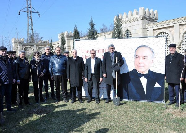 Sumqayıtda növbəti ağacəkmə aksiyası keçirilib – FOTO