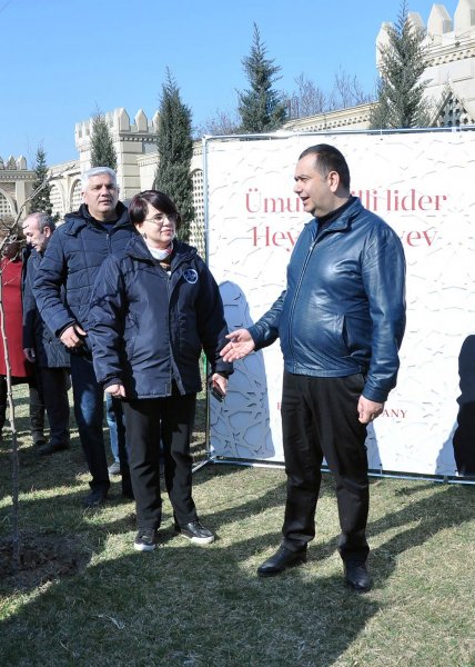 Sumqayıtda növbəti ağacəkmə aksiyası keçirilib – FOTO