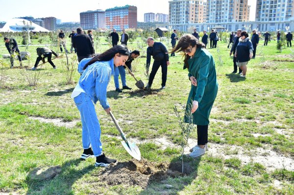 Sumqayıt şəhər Bulvarında “Heydər Əliyevin 100 illik yubileyi” ilə əlaqədar növbəti dəfə ağacəkmə aksiyası təşkil olundu - FOTO
