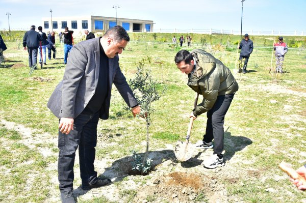 Sumqayıt şəhər Bulvarında “Heydər Əliyevin 100 illik yubileyi” ilə əlaqədar növbəti dəfə ağacəkmə aksiyası təşkil olundu - FOTO