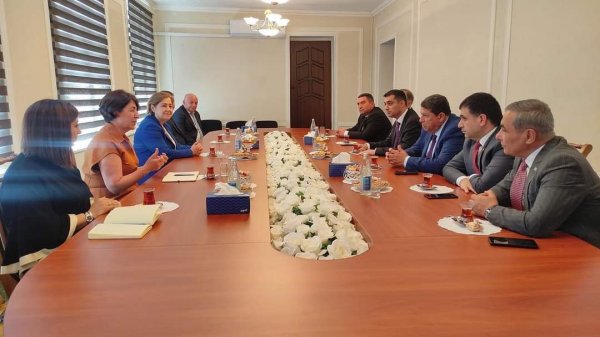 Müşfiq Məmmədli Yevlaxda Hande Harmançı ilə keçirilən görüşdə iştirak edib - FOTO