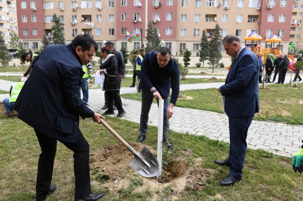 Sumqayıtda Heydər Əliyevin xatirəsinə həsr olunmuş ağacəkmə tədbiri keçirilib - FOTOLAR Sumqayıtda Heydər Əliyevin xatirəsinə həsr olunmuş ağacəkmə tədbiri keçirilib - FOTOLAR
