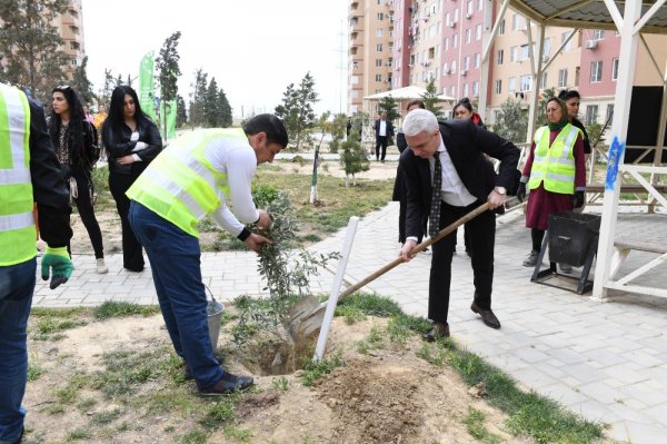 Sumqayıtda Heydər Əliyevin xatirəsinə həsr olunmuş ağacəkmə tədbiri keçirilib - FOTOLAR Sumqayıtda Heydər Əliyevin xatirəsinə həsr olunmuş ağacəkmə tədbiri keçirilib - FOTOLAR