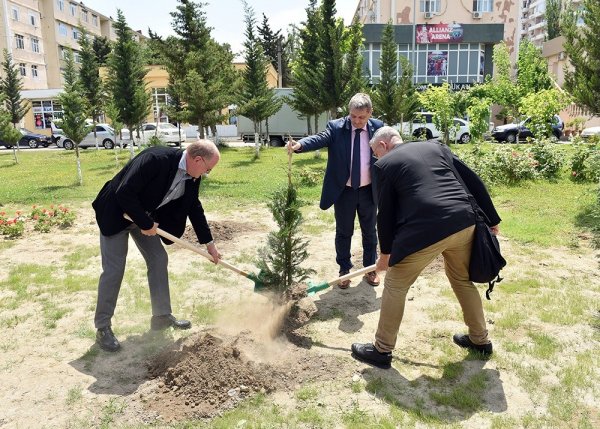 Zakir Fərəcov və Yutta Ştaynruk Lüdviqshafen parkında ağac əkdi