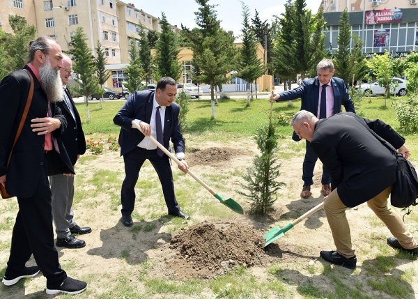 Zakir Fərəcov və Yutta Ştaynruk Lüdviqshafen parkında ağac əkdi