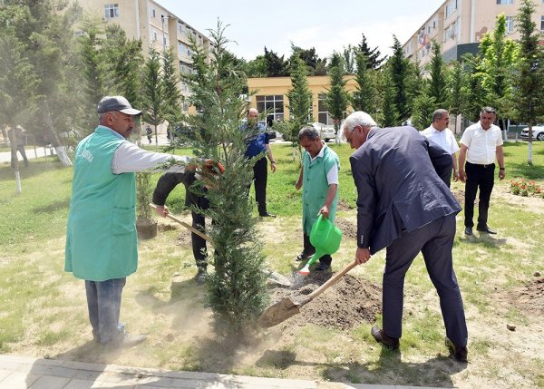 Zakir Fərəcov və Yutta Ştaynruk Lüdviqshafen parkında ağac əkdi
