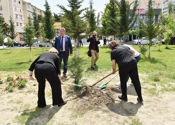 Zakir Fərəcov və Yutta Ştaynruk Lüdviqshafen parkında ağac əkdi