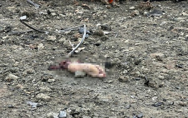 Mina partlayışlarının baş verdiyi yerdən dəhşətli FOTOLAR