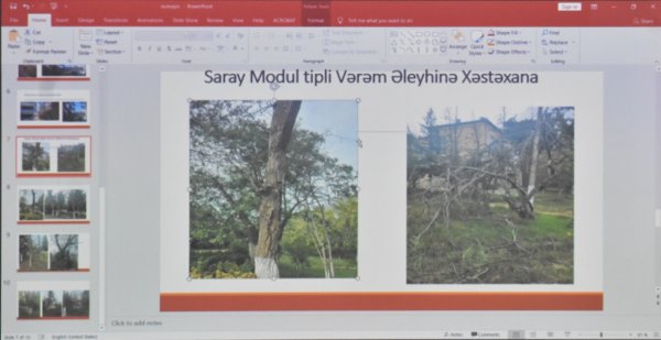 Qurumuş və qəzalı vəziyyətdə olan ağacların götürülməsinə dair müzakirələr aparılıb (FOTOLAR)