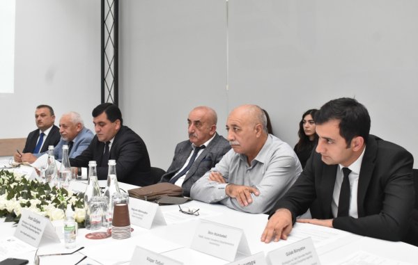 Qurumuş və qəzalı vəziyyətdə olan ağacların götürülməsinə dair müzakirələr aparılıb (FOTOLAR)