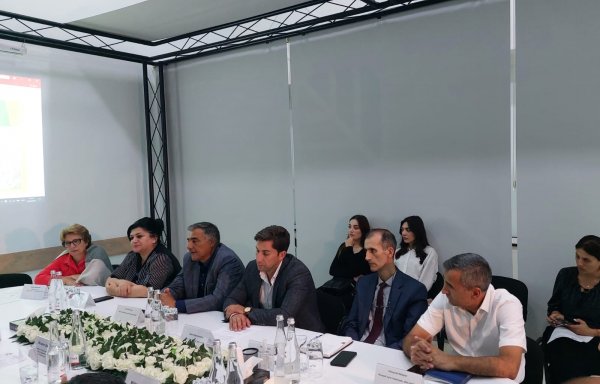 Bakı şəhəri üzrə 200-dən artıq qurumuş və qəzalı ağacın götürülməsinə dair ictimai dinləmə keçirilib (FOTOLAR)