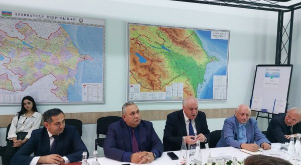 Bakı şəhəri üzrə 200-dən artıq qurumuş və qəzalı ağacın götürülməsinə dair ictimai dinləmə keçirilib (FOTOLAR)