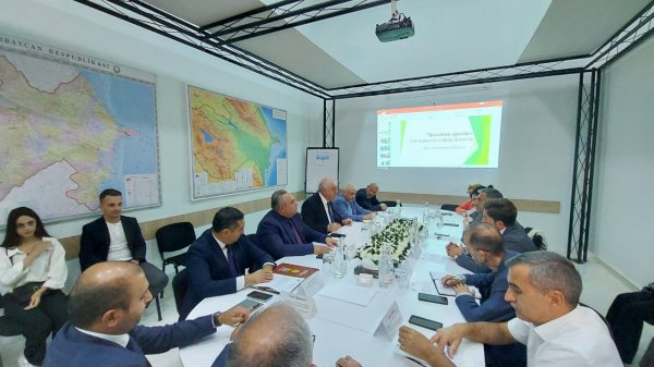 Bakı şəhəri üzrə 200-dən artıq qurumuş və qəzalı ağacın götürülməsinə dair ictimai dinləmə keçirilib (FOTOLAR)