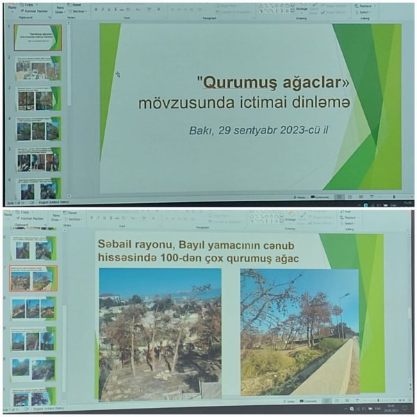 Bakı şəhəri üzrə 200-dən artıq qurumuş və qəzalı ağacın götürülməsinə dair ictimai dinləmə keçirilib (FOTOLAR)