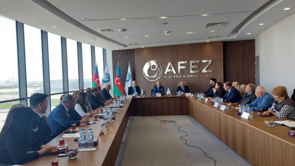 Ələt Azad İqtisadi Zonasının 10.5 hektar hissəsində yaşıllıq ərazisi salınacaq