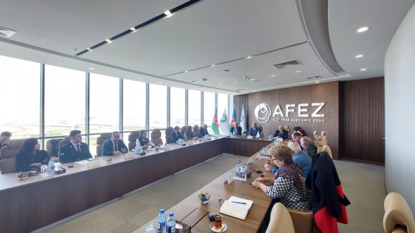 Ələt Azad İqtisadi Zonasının 10.5 hektar hissəsində yaşıllıq ərazisi salınacaq