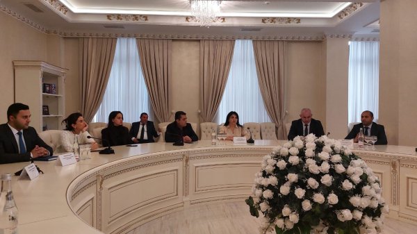 Sumqayıtda yaşıllıqların mühafizəsinə dair əsas problemlər nədir?