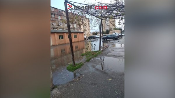 Sumqayıtın çirkab suları içində yaşayan sakinləri (Foto)