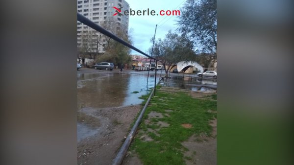 Sumqayıtın çirkab suları içində yaşayan sakinləri (Foto)