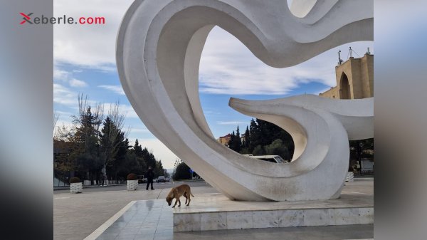 Sumqayıtın "Sülh göyərçini”sahibsiz itlərin əsirinə çevrilib – (Fotolar)