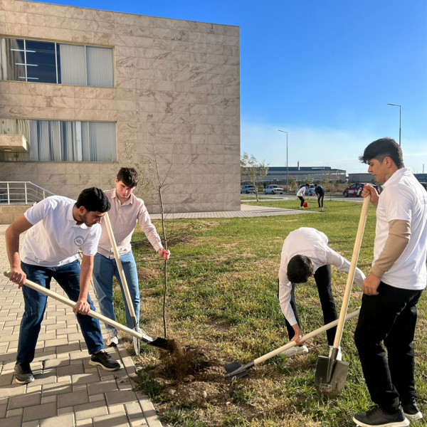 Peşə Təhsil Mərkəzində ağacəkmə aksiyası keçirilib - FOTOLAR