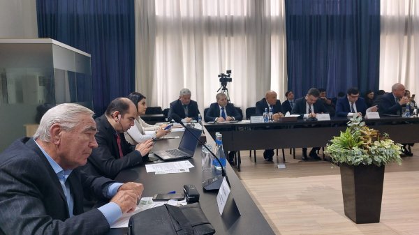 Qarabağ və Şərqi Zəngəzurda müvəqqəti tullantı poliqonları yaradılır 