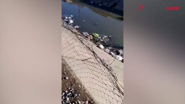 Sumqayıtda "Yaşıl dərə"dən keçən kanal xəstəlik mənbəyidir (Foto) (Video)