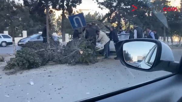 Sumqayıtda maşın bir neçə ağacı və yol nişanını yerindən qopardı (Foto) (Video)