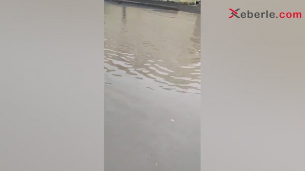 Sumqayıtda yol problemi: 76-cı məhəllənin sağalmayan yarası (Fotolar+Video)