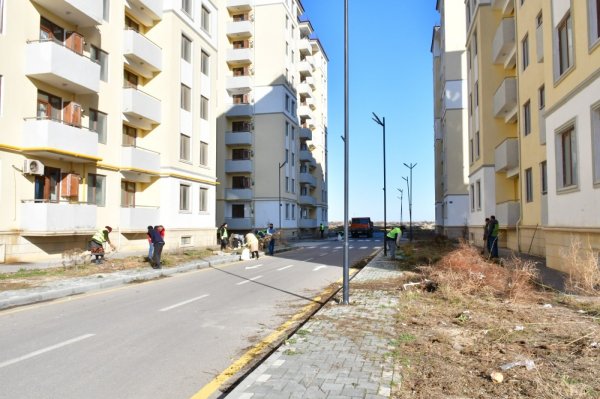 Bayramı ərəfəsində Abşeronda abadlıq-təmizlik işlərinə başlanılıb - FOTOLAR