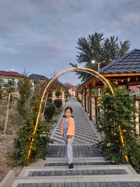 “Ən böyük arzum rəsm sərgimin açılmasıdır” – Sumqayıtın 12 yaşlı rəssamı